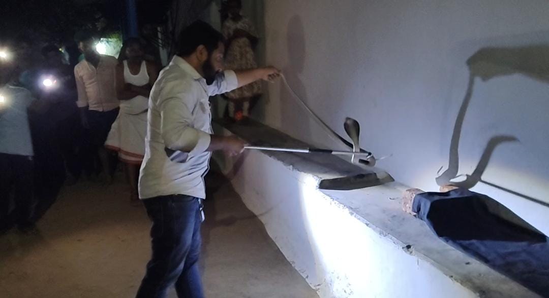 जहरीले नाग के फनकार की आवाज़ सुनकर कुत्ते डर से भौंकने लगे, वही जितेंद्र सारथी को रेस्क्यु करते देख लोग डर से कांप उठे।