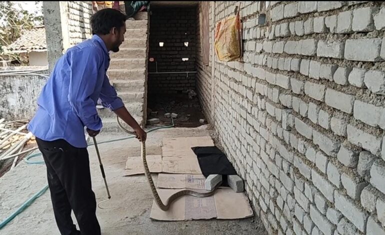 मुर्गी के बच्चों को बनाया अपना शिकार, जितेंद्र सारथी के टीम के किया रेस्क्यु।