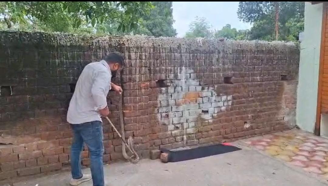 दिवाल के किनारे छिप कर बैठा 5 फीट का नाग, बाहर निकलते ही लोगों के उड़े होश, जितेंद्र सारथी ने किया रेस्क्यु।