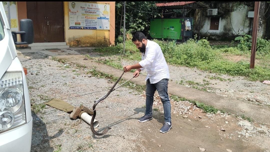 जिला अस्पताल के शव विच्छेदन केंद्र के पास निकला 5 फीट का कोबरा, कर्मचारियों में मचा हड़कंप।
